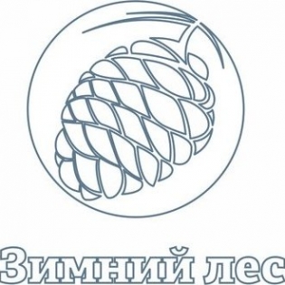 Зимний лес