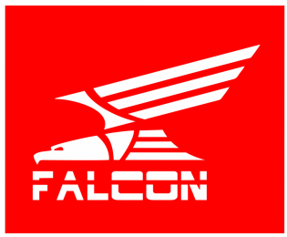 FALCON SPORTS