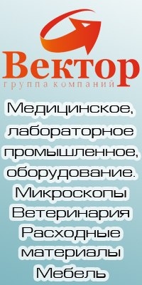 Вектор