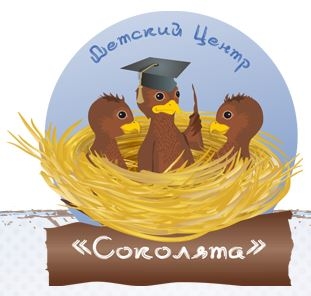 Детский Центр Соколята