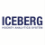 ICEBERG