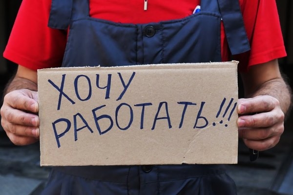 Четверть российских компаний решили не нанимать новых сотрудников в 2023 году