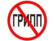 россия в плену гриппа