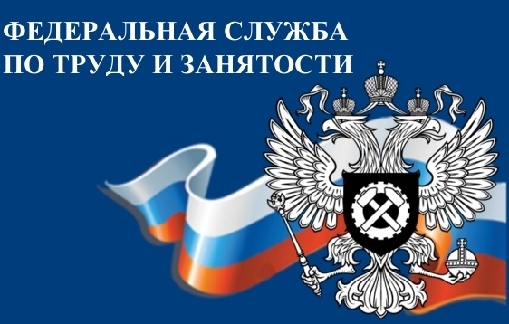 Чем занимается Роструд