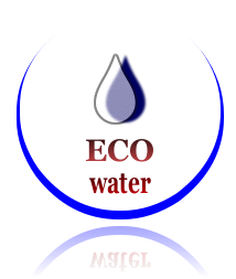 EWC