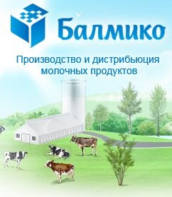 Балмико Торг