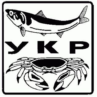 Кастор