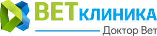 Доктор Вет