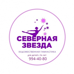 СК Северная Звезда
