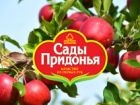 Сады Придонья