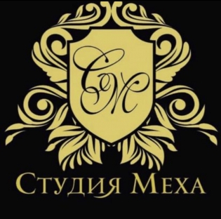 Студия меха