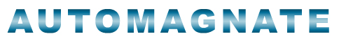 Автомагнат