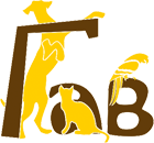 Ветклиника ГаВ