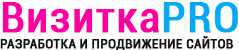 ВизиткаPRO