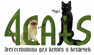 Зоогостиница 4Cats