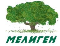 ФП Мелиген