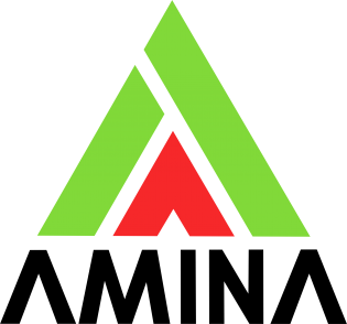 АМИНА
