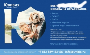 Ювизия