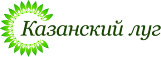 КФК Казанский Луг