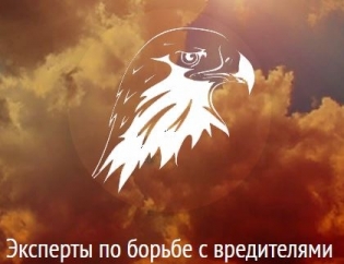 СпецАвиаГрупп