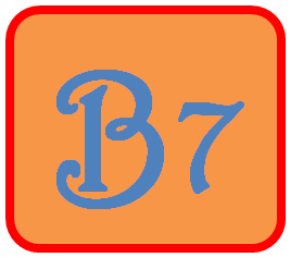 BIG SEVEN