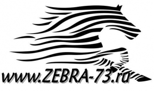 ZEBRA-73
