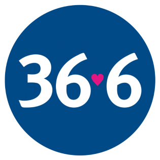 Аптечная сеть 36,6