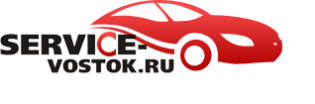 Восток сервис лого