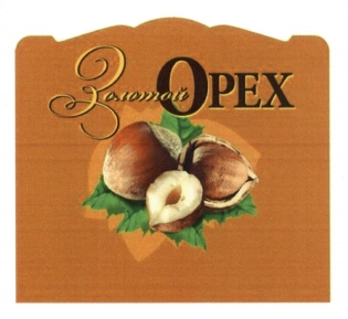 Золотой Орех