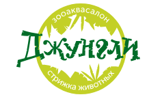 Джунгли
