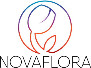 NOVAFLORA - оптовый флористический центр