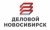 Деловой Новосибирск, консалтинговая компания